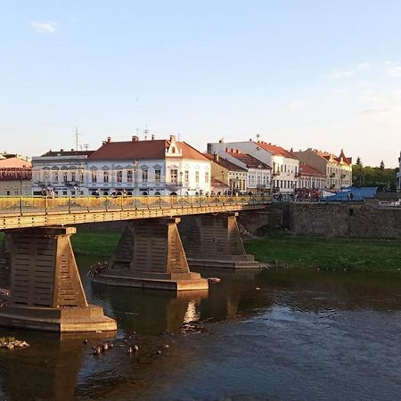 Затишна Двокімнатна Квартира В Самому Серці Ужгорода Экстерьер фото