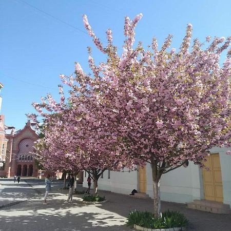 Затишна Двокімнатна Квартира В Самому Серці Ужгорода Экстерьер фото