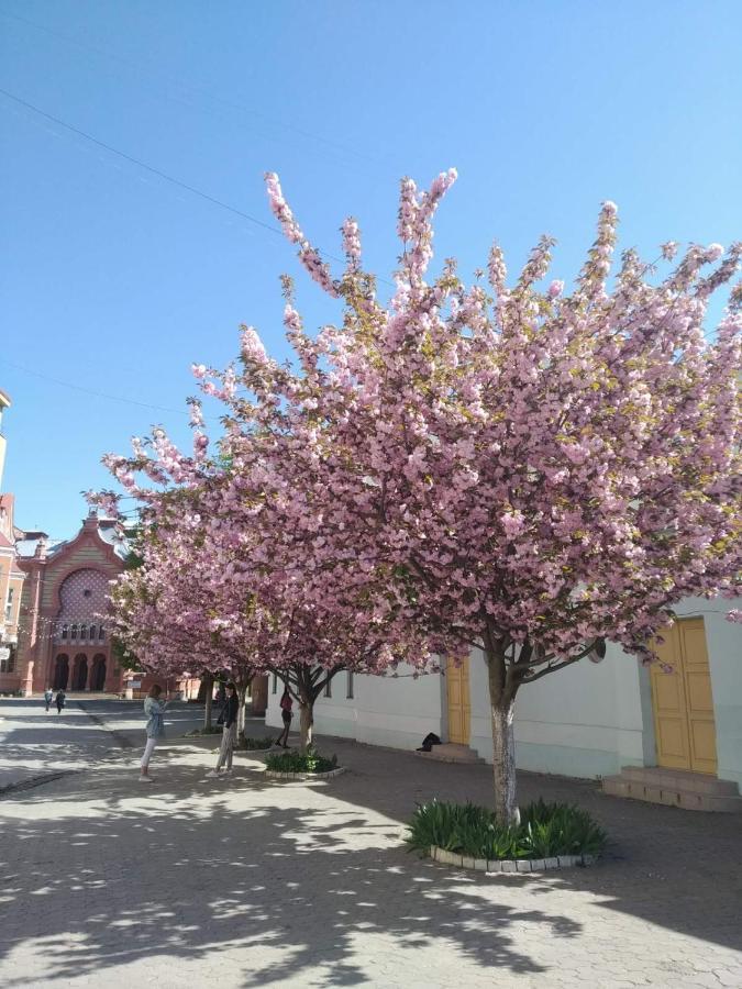Затишна Двокімнатна Квартира В Самому Серці Ужгорода Экстерьер фото